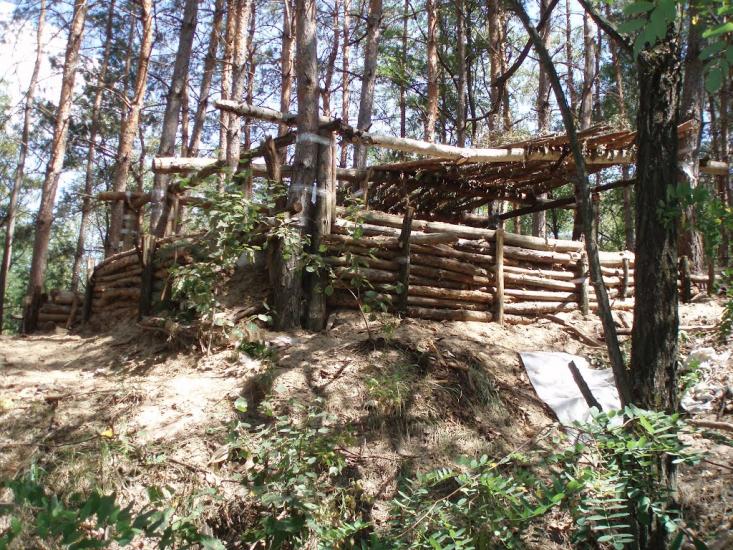 Пересічна з panoramio.com - Пересечная