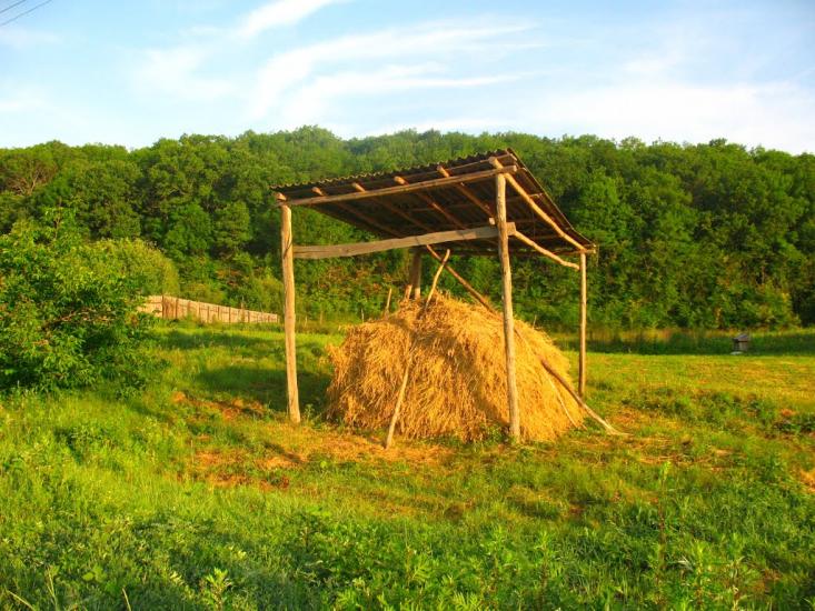 Приліпка з panoramio.com - Прилипка