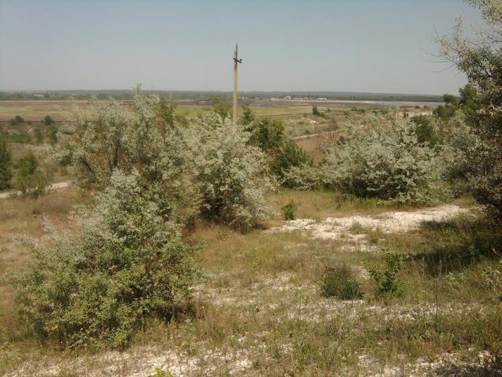 Петрівка з panoramio.com - Петровка