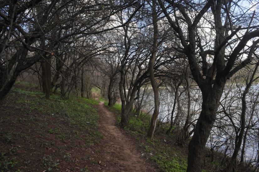 Новгородське з panoramio.com - Новгородське