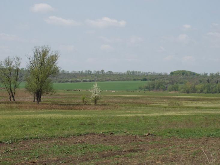 Єлизаветка з panoramio.com - Єлизаветка