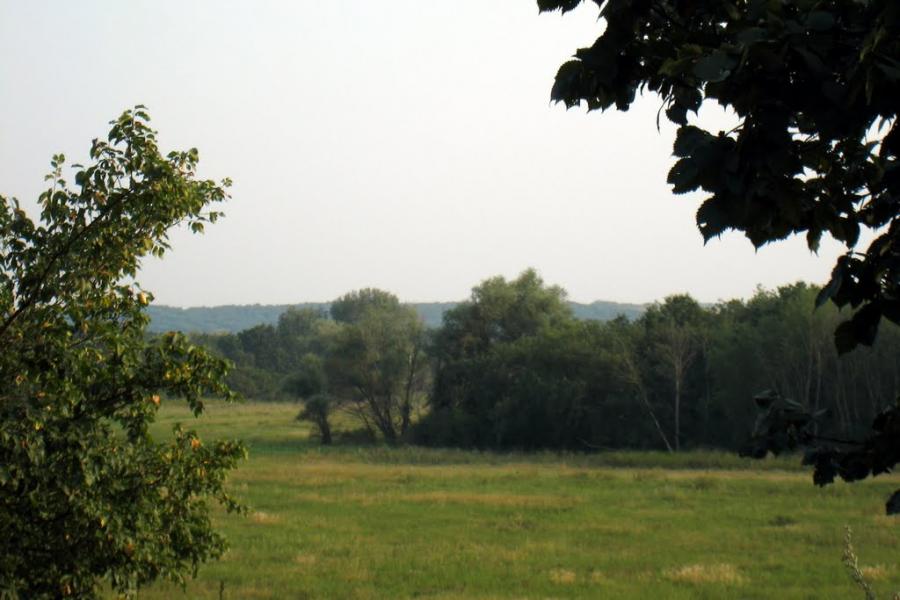 Борове з panoramio.com - Борове