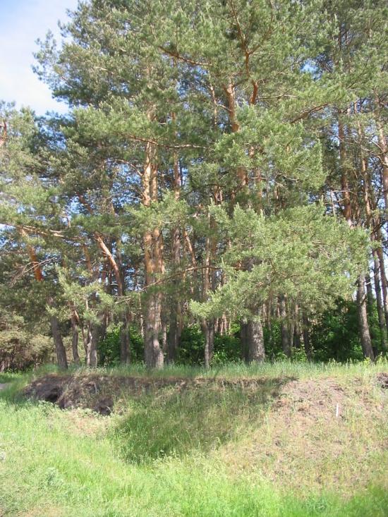 Циркуни з panoramio.com - Циркуни