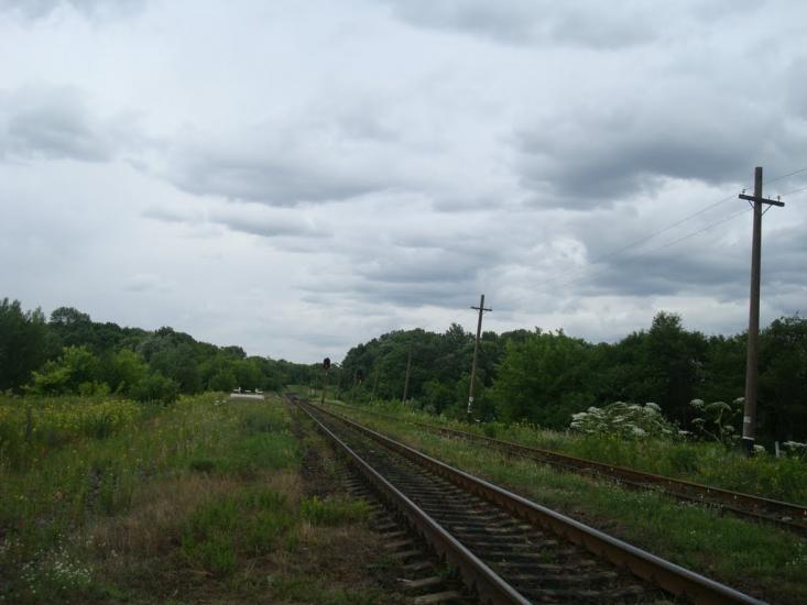 Іванківці з panoramio.com - Ivankivtsi