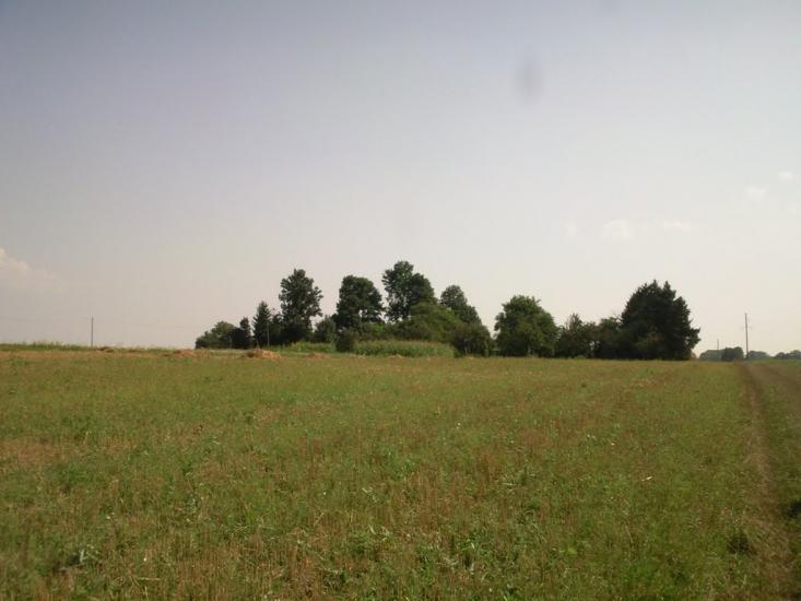 Чагарі-Збаразькі з panoramio.com - Чагарі-Збаразькі