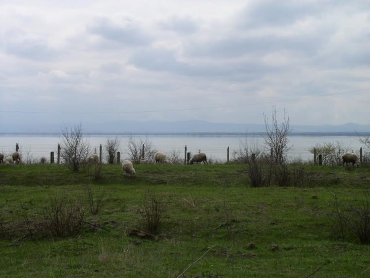 Долинське з panoramio.com - Долинское