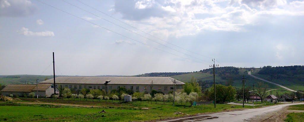 Новоукраїнка з panoramio.com - Новоукраинка