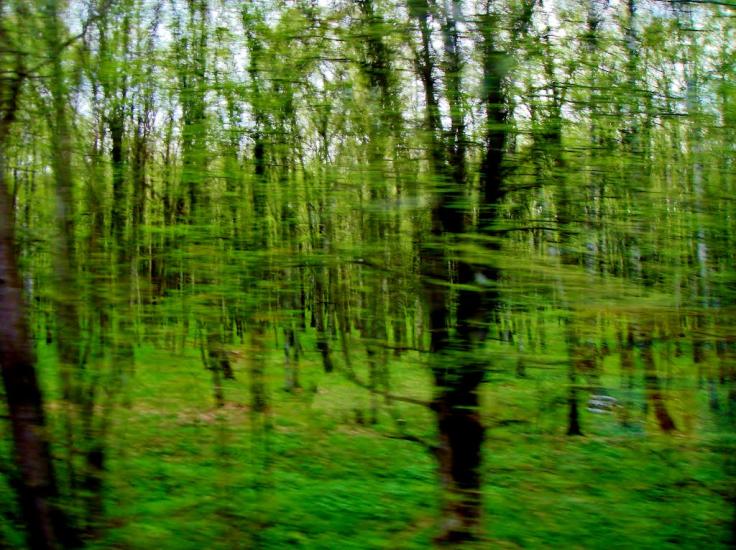 Тараща з panoramio.com - Тараща