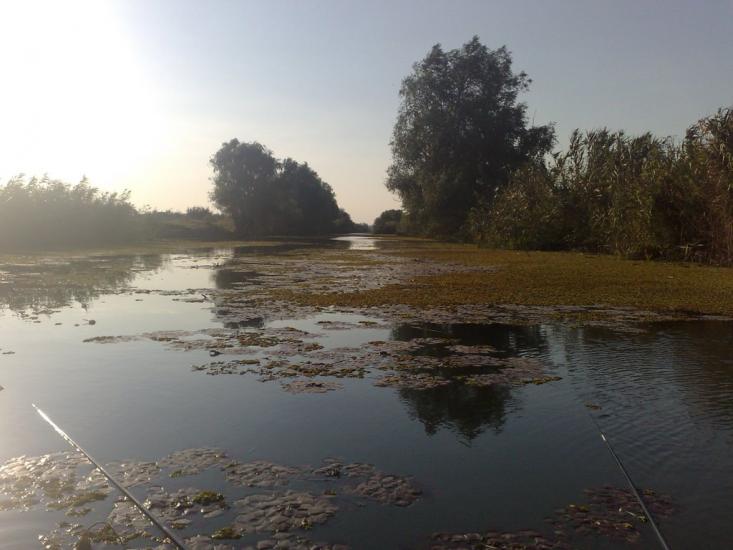 Стара Некрасівка з panoramio.com - Стара Некрасівка