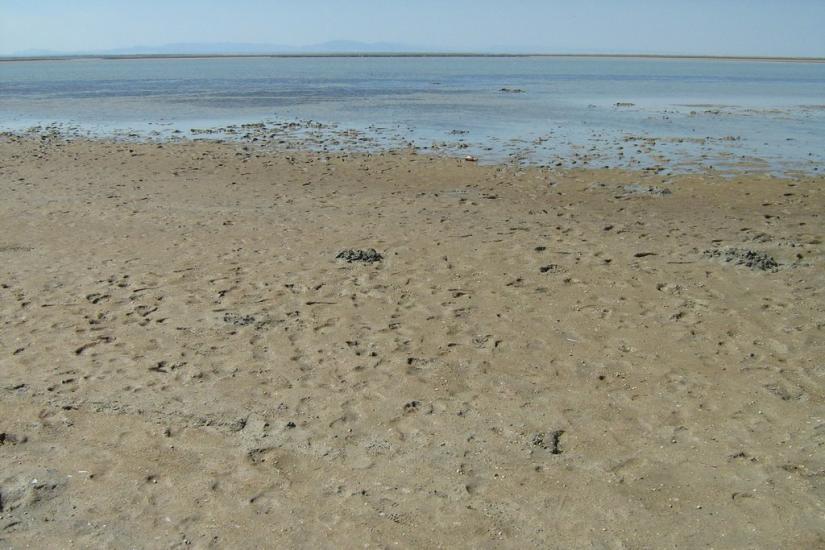 Соляне з panoramio.com - Соляное