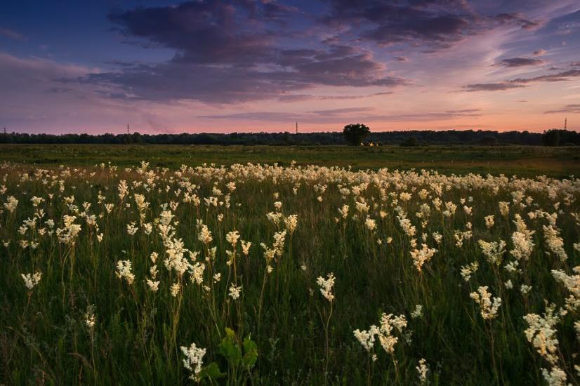 Єньків з panoramio.com - Еньков