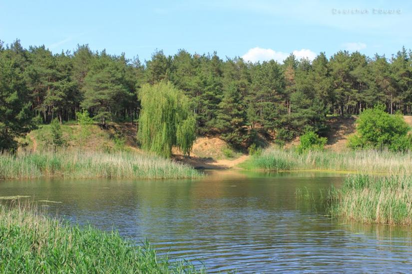 Широке з panoramio.com - Широкое
