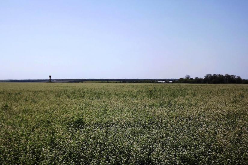 Каніж з panoramio.com - Каніж