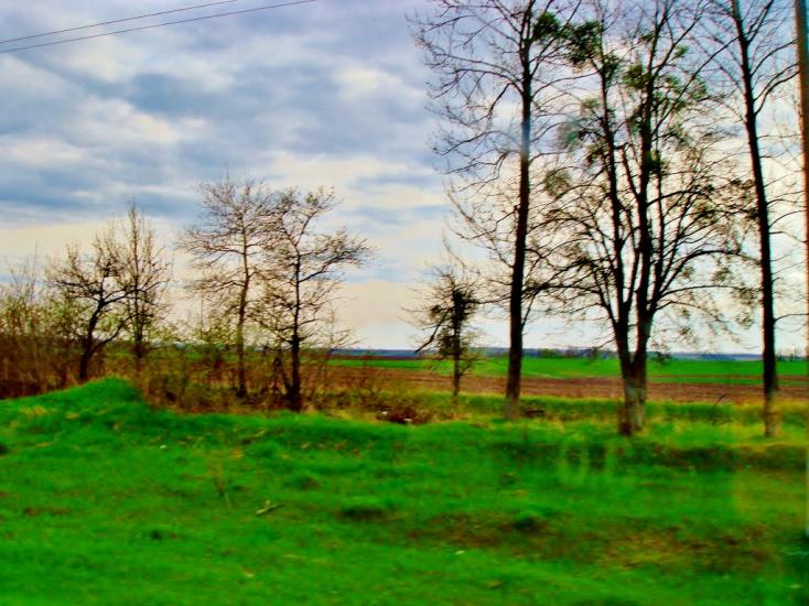 Бране Поле з panoramio.com - Браное Поле