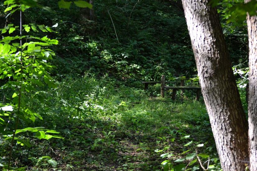 Грабовське з panoramio.com - Грабовское