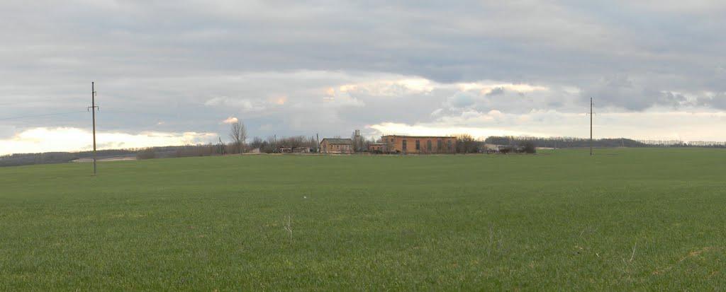 Бірки з panoramio.com - Бирки