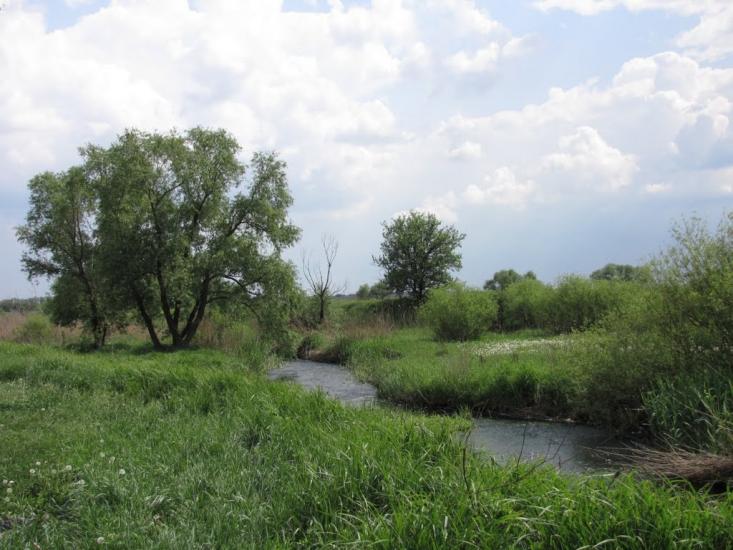 Долинівка з panoramio.com - Долинівка