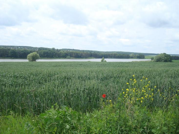 Давидківці з panoramio.com - Давыдковцы