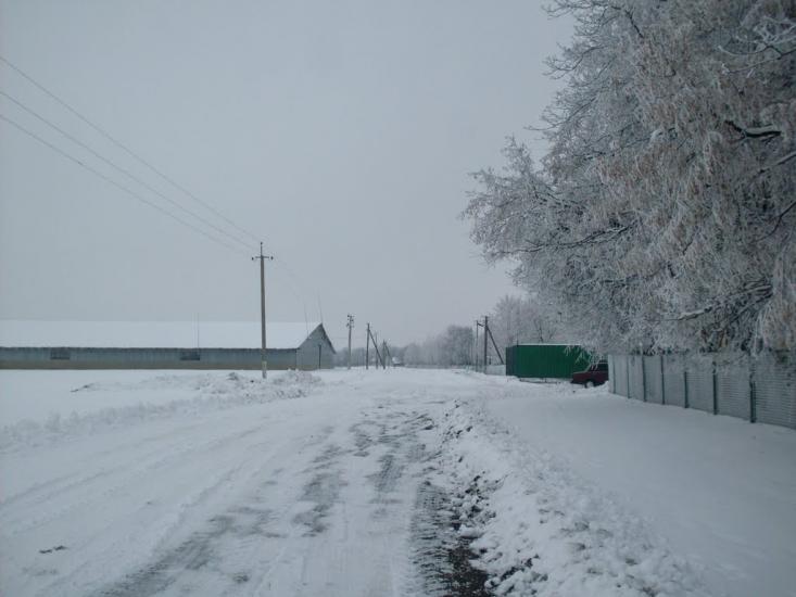 Краснопілка з panoramio.com - Краснополка
