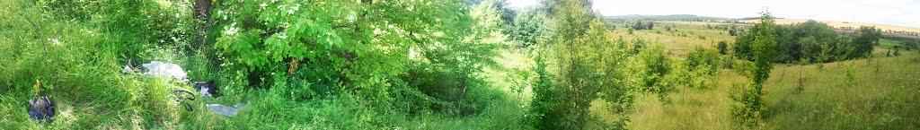 Новоукраїнка з panoramio.com - Новоукраїнка