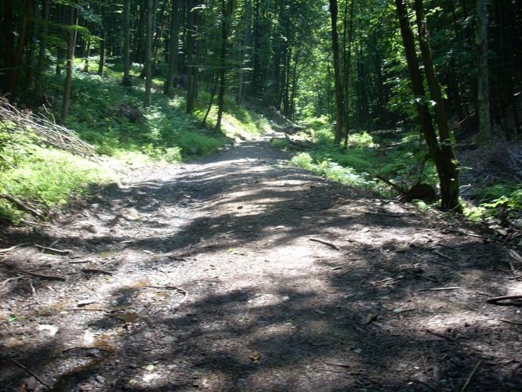 Кам'яниця з panoramio.com - Кам'яниця