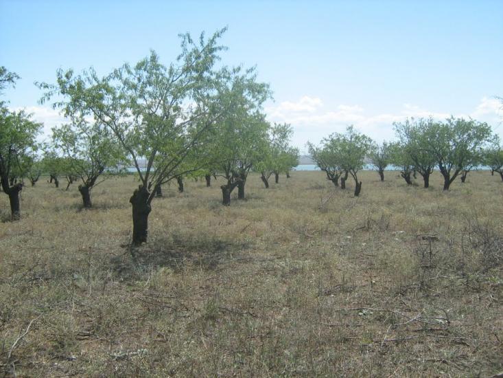 Стерегуще з panoramio.com - Стерегущее