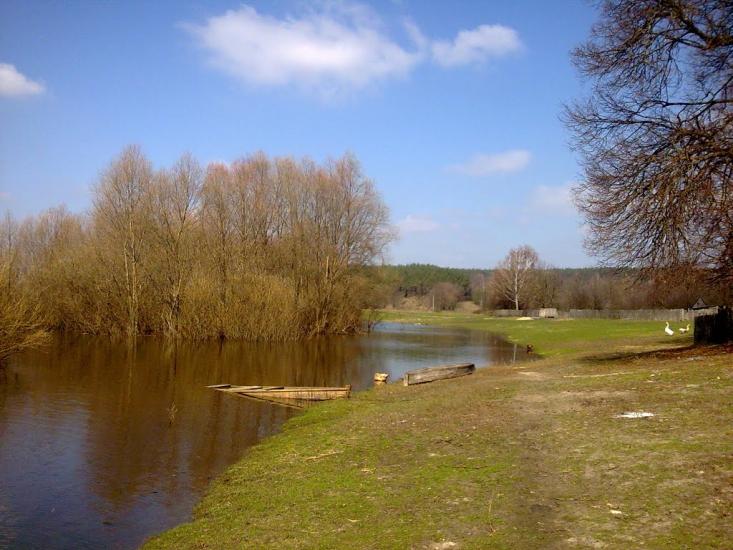 Камінь з panoramio.com - Камінь