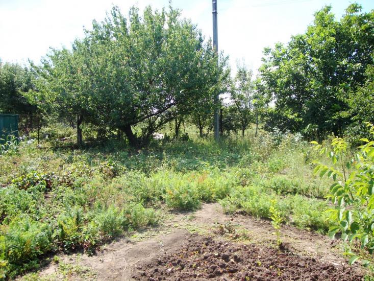 Руські Тишки з panoramio.com - Русские Тишки