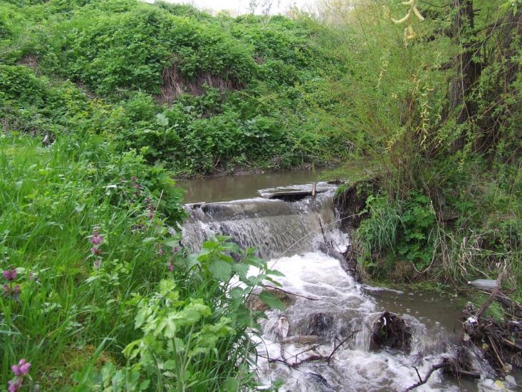 Біла з panoramio.com - Біла