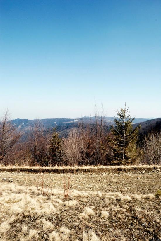 Букове з panoramio.com - Букове