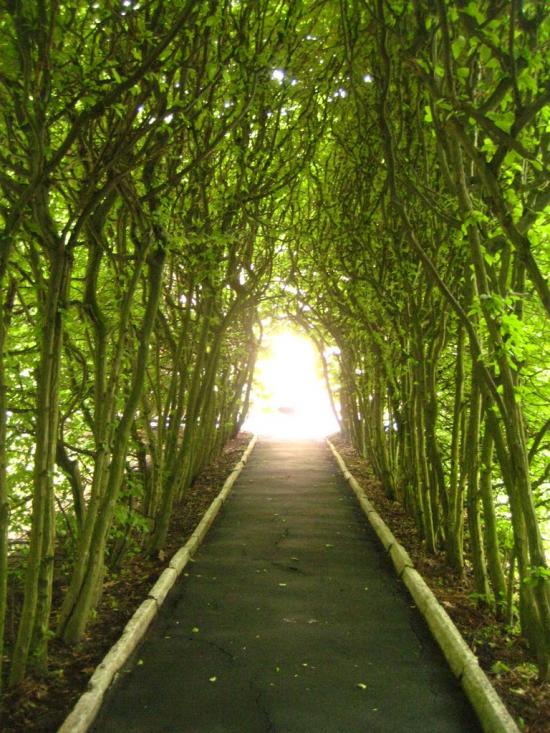 Ков'ярі з panoramio.com - Ков'ярі