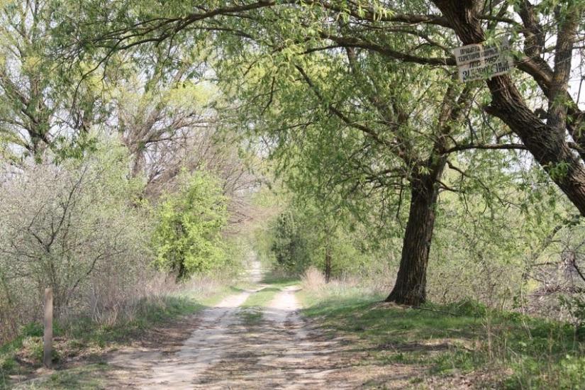 Бобриця з panoramio.com - Бобриця