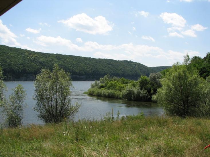 Рогізна з panoramio.com - Рогозная