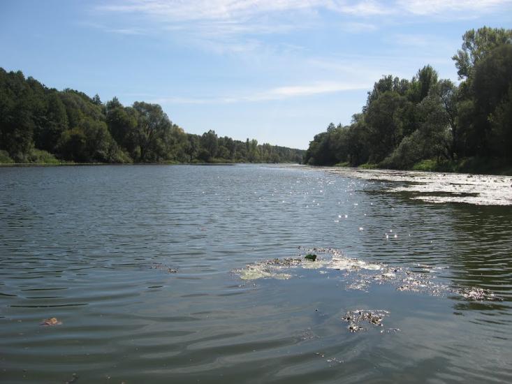 Гатище з panoramio.com - Гатище