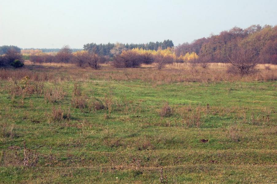 Воронове з panoramio.com - Воронове