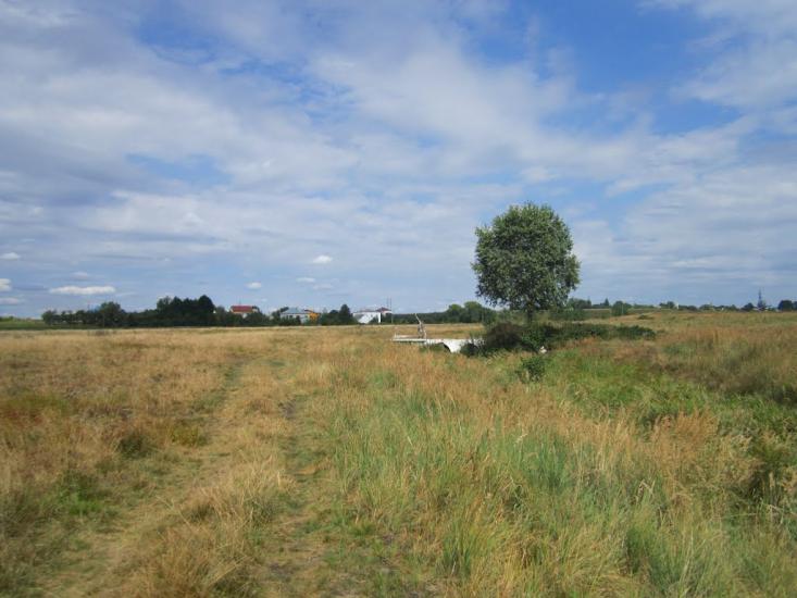 Підрясне з panoramio.com - Підрясне