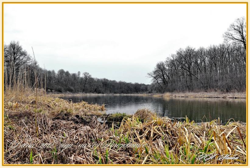 Шипилівка з panoramio.com - Shypylivka