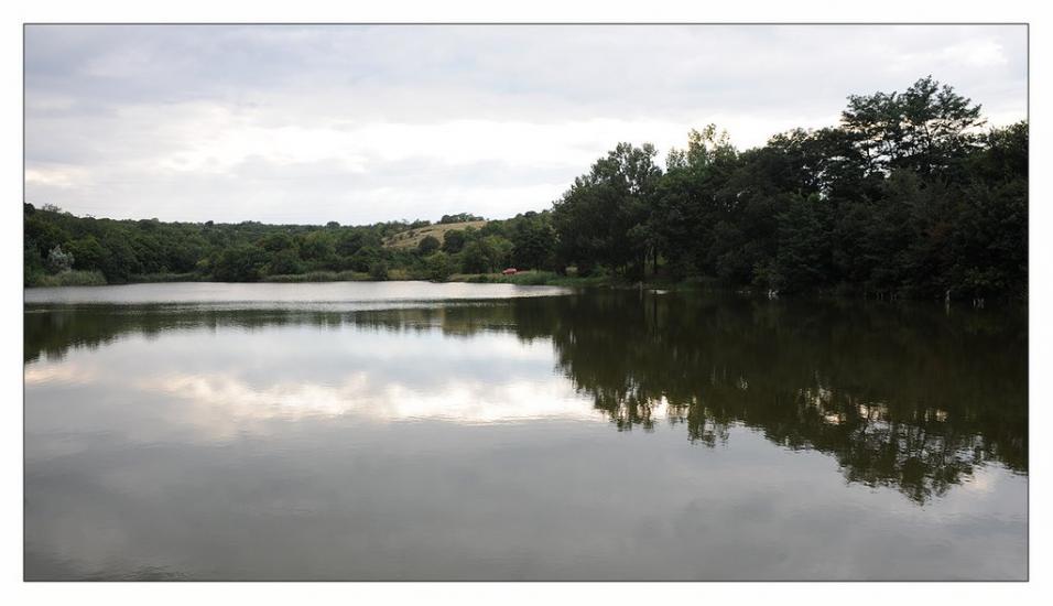 Новгородське з panoramio.com - Новгородське