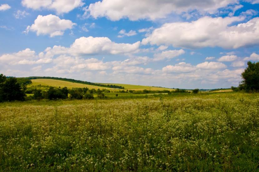 Великий Карабчіїв з panoramio.com - Великий Карабчіїв