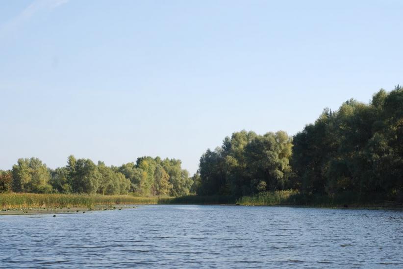 Шабельники з panoramio.com - Шабельники