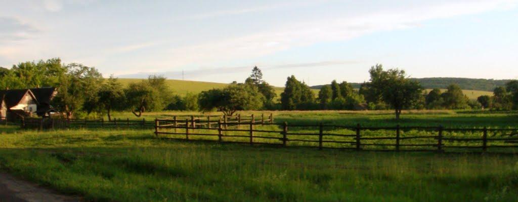 Барилівка з panoramio.com - Бариловка