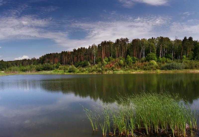 Житомир з panoramio.com - Житомир