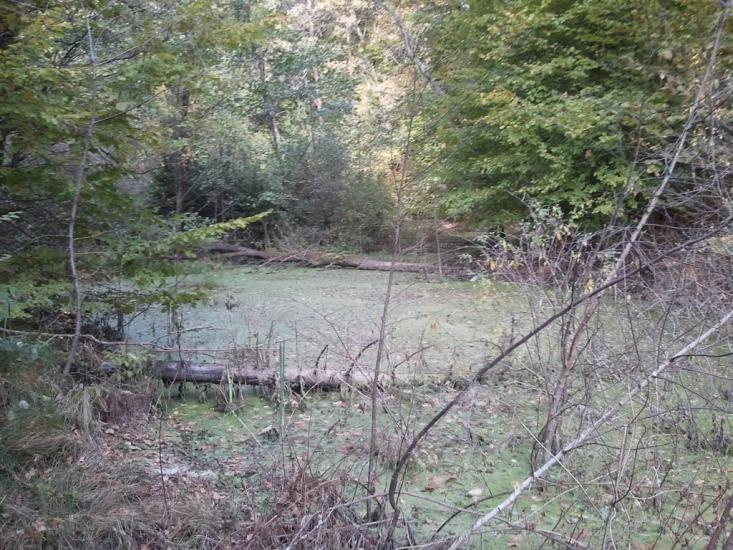 Малий Любінь з panoramio.com - Малий Любінь