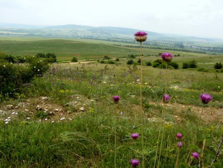 Лазарівка з panoramio.com - Lazarivka