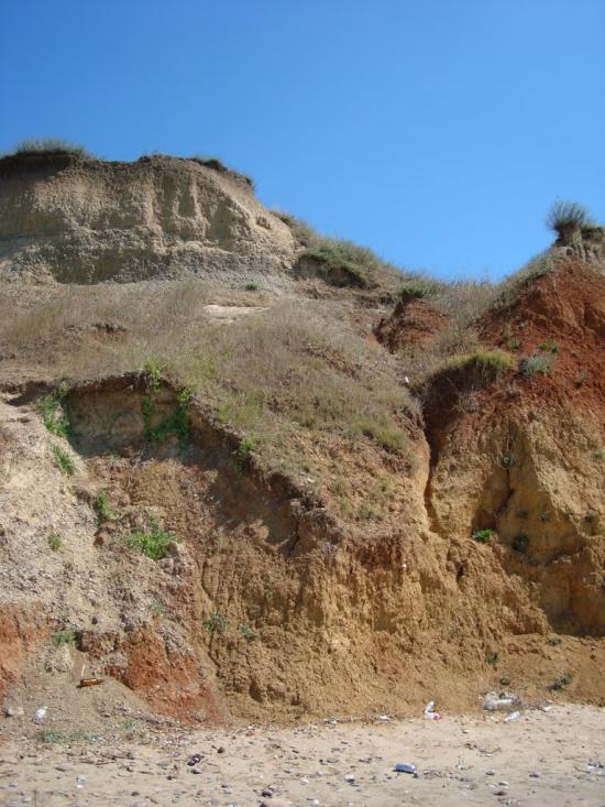 Берегове з panoramio.com - Берегово