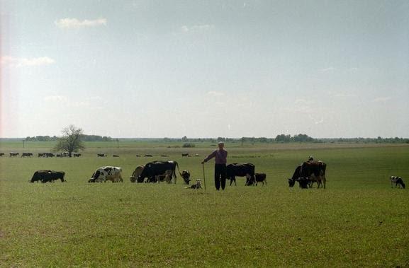 Датинь з panoramio.com - Датинь