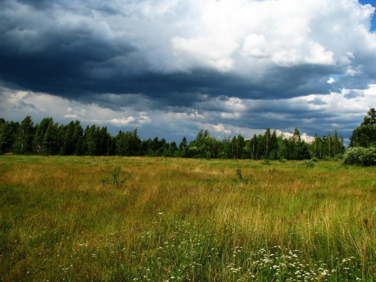Мелені з panoramio.com - Meleni