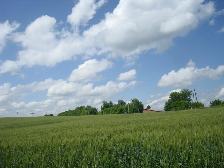 Малашівці з panoramio.com - Malashivtsi