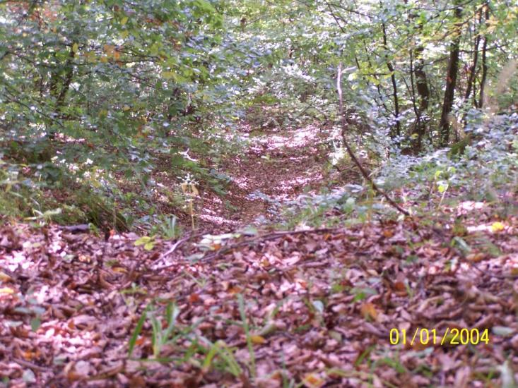 Старе Село з panoramio.com - Старое Село