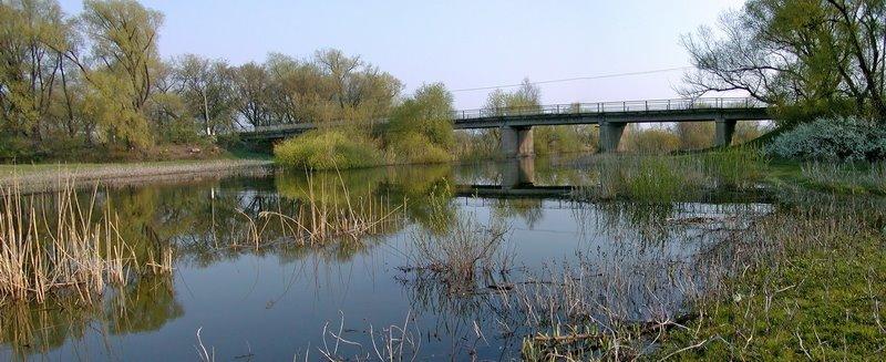 Новий Стародуб з panoramio.com - Новий Стародуб